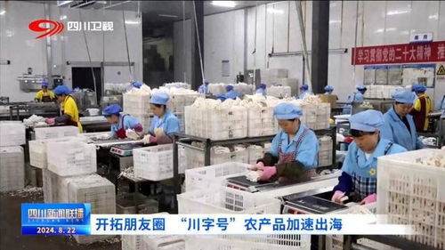 开拓朋友圈，川字号农产品加速扬帆出海