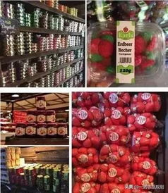 农产品加工厂如何玩转休闲观光 农产品